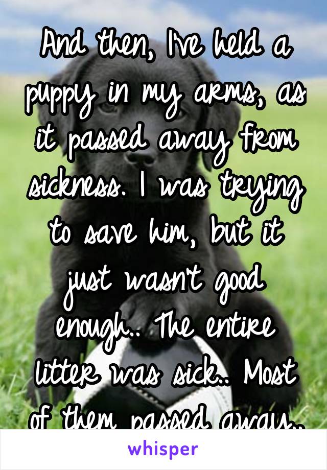 And then, I've held a puppy in my arms, as it passed away from sickness. I was trying to save him, but it just wasn't good enough.. The entire litter was sick.. Most of them passed away..