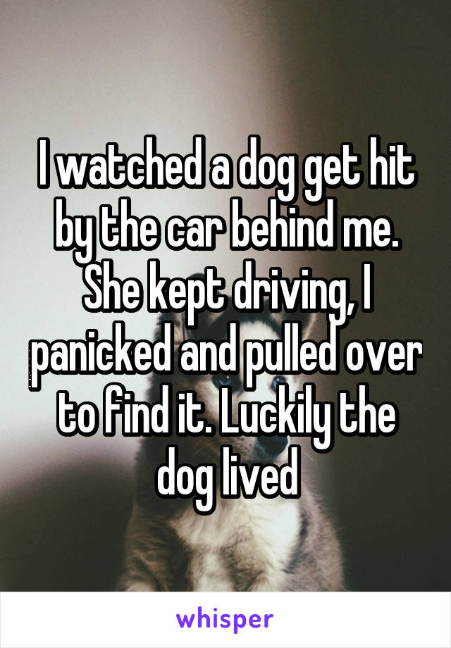 I watched a dog get hit by the car behind me. She kept driving, I panicked and pulled over to find it. Luckily the dog lived