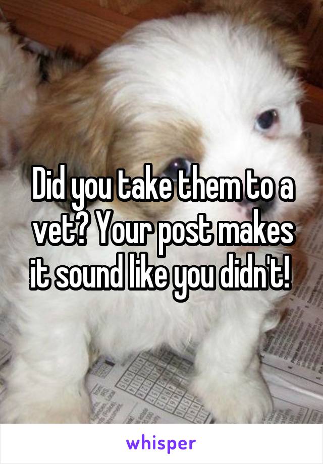 Did you take them to a vet? Your post makes it sound like you didn't! 