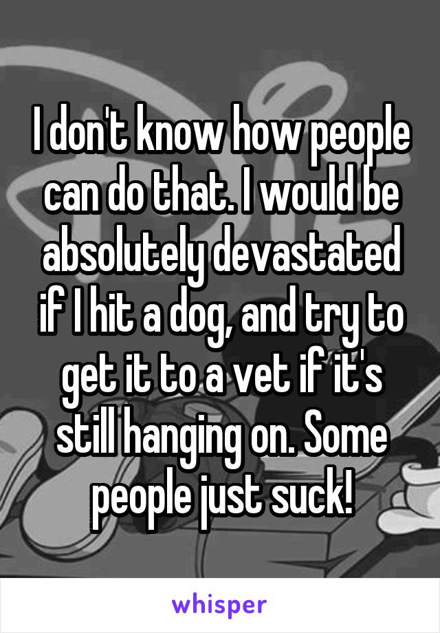 I don't know how people can do that. I would be absolutely devastated if I hit a dog, and try to get it to a vet if it's still hanging on. Some people just suck!