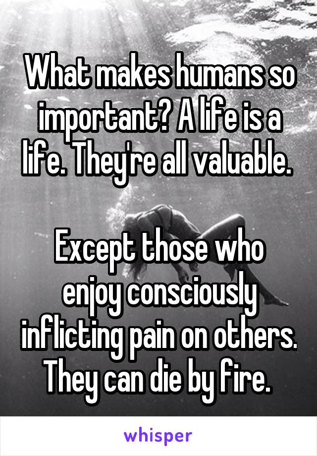 What makes humans so important? A life is a life. They're all valuable. 

Except those who enjoy consciously inflicting pain on others. They can die by fire. 