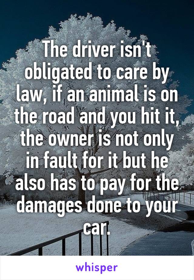 The driver isn't obligated to care by law, if an animal is on the road and you hit it, the owner is not only in fault for it but he also has to pay for the damages done to your car.