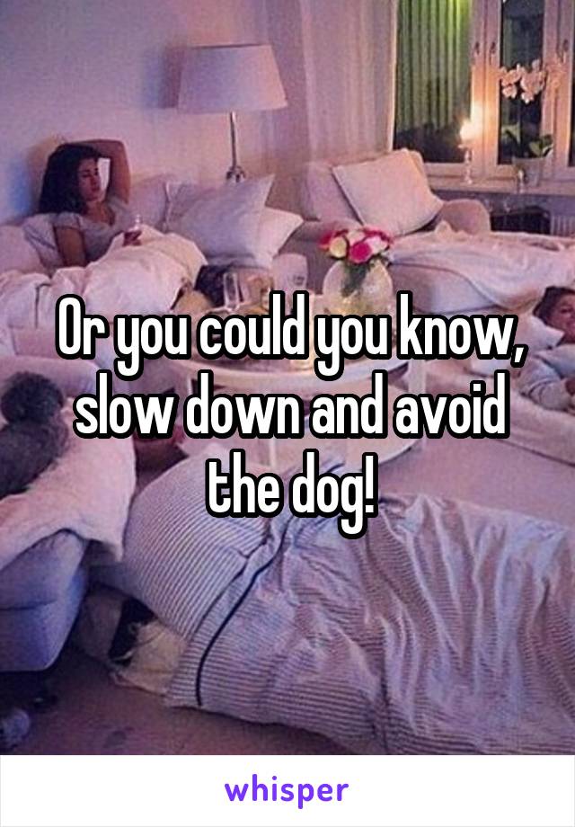 Or you could you know, slow down and avoid the dog!