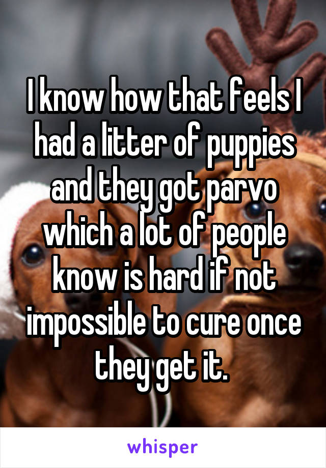 I know how that feels I had a litter of puppies and they got parvo which a lot of people know is hard if not impossible to cure once they get it. 