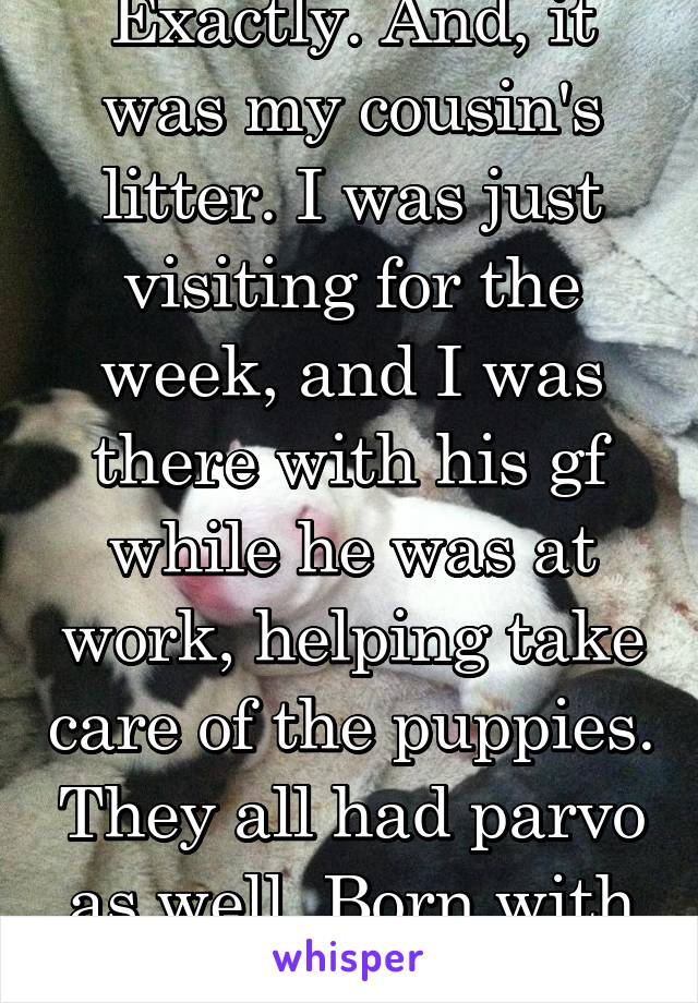 Exactly. And, it was my cousin's litter. I was just visiting for the week, and I was there with his gf while he was at work, helping take care of the puppies. They all had parvo as well. Born with it.