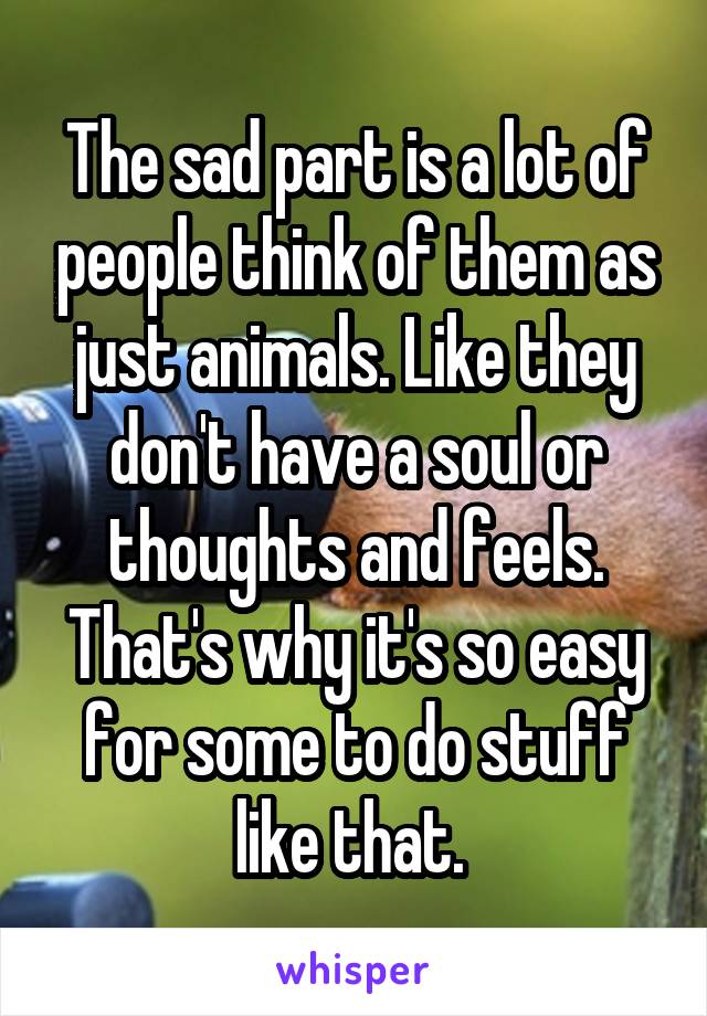 The sad part is a lot of people think of them as just animals. Like they don't have a soul or thoughts and feels. That's why it's so easy for some to do stuff like that. 