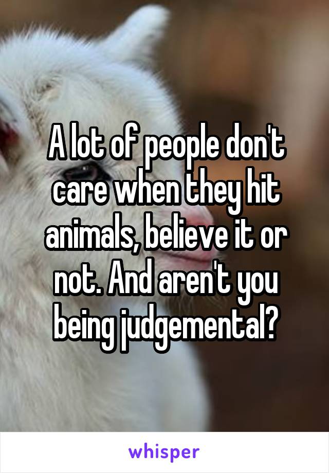 A lot of people don't care when they hit animals, believe it or not. And aren't you being judgemental?