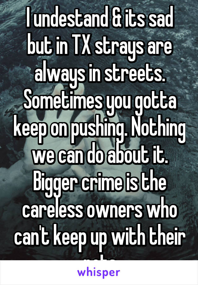 I undestand & its sad but in TX strays are always in streets. Sometimes you gotta keep on pushing. Nothing we can do about it. Bigger crime is the careless owners who can't keep up with their pets