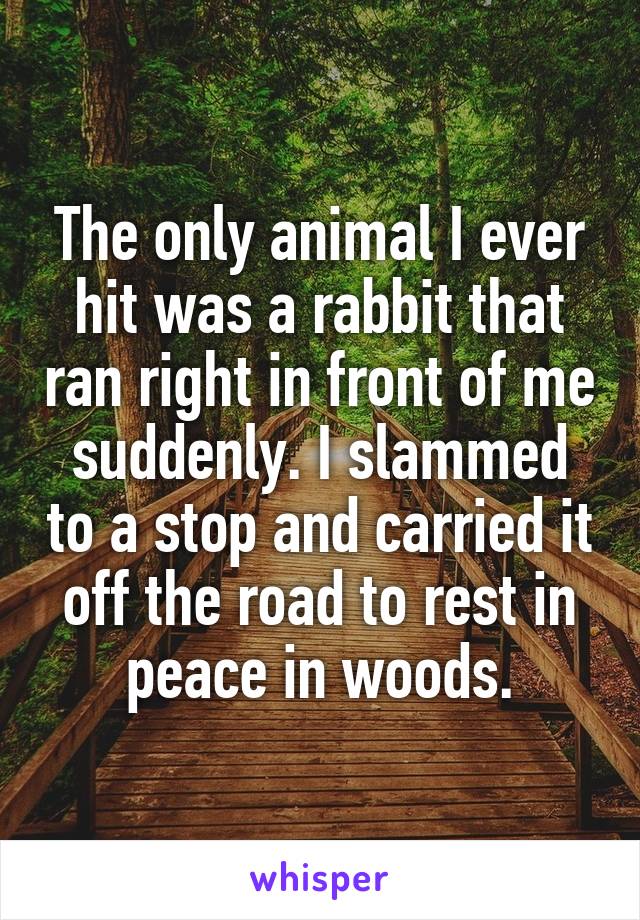 The only animal I ever hit was a rabbit that ran right in front of me suddenly. I slammed to a stop and carried it off the road to rest in peace in woods.