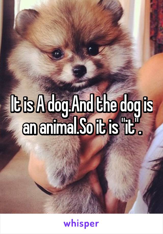 It is A dog.And the dog is an animal.So it is "it".