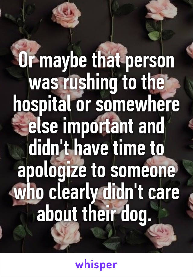 Or maybe that person was rushing to the hospital or somewhere else important and didn't have time to apologize to someone who clearly didn't care about their dog. 