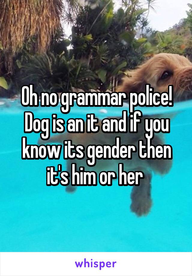 Oh no grammar police! Dog is an it and if you know its gender then it's him or her 