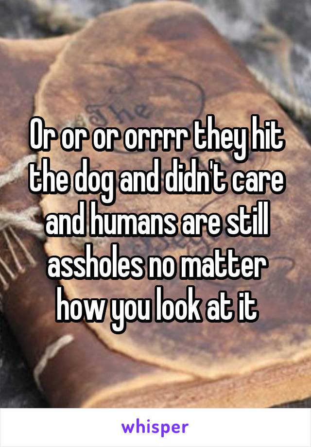 Or or or orrrr they hit the dog and didn't care and humans are still assholes no matter how you look at it