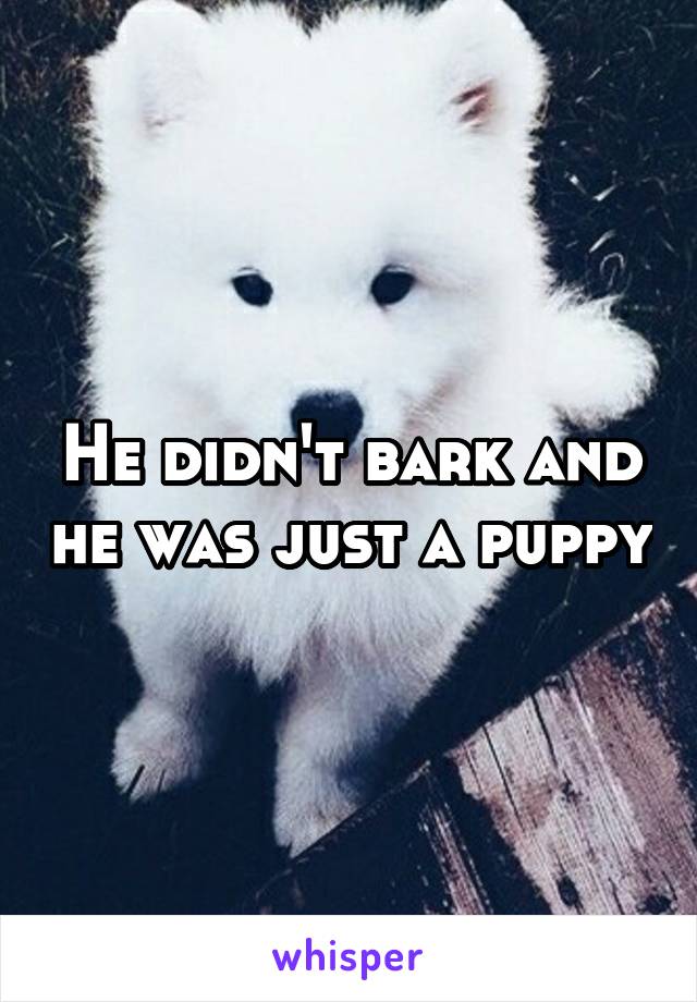 He didn't bark and he was just a puppy