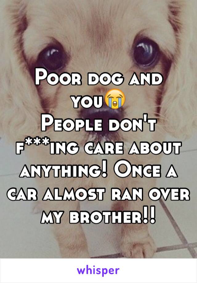 Poor dog and you😭
People don't f***ing care about anything! Once a car almost ran over my brother!!