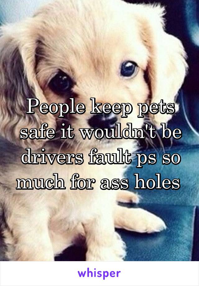 People keep pets safe it wouldn't be drivers fault ps so much for ass holes 