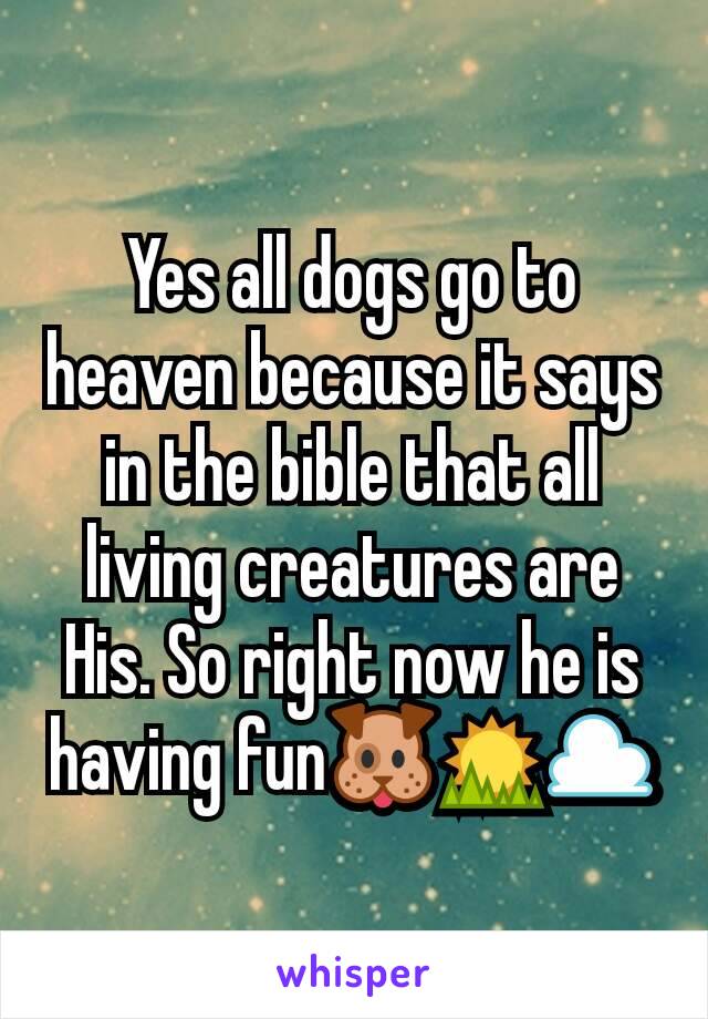 Yes all dogs go to heaven because it says in the bible that all living creatures are His. So right now he is having fun🐶🌅☁