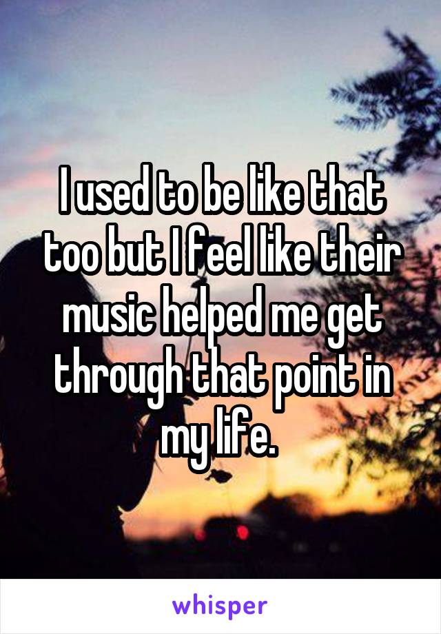 I used to be like that too but I feel like their music helped me get through that point in my life. 