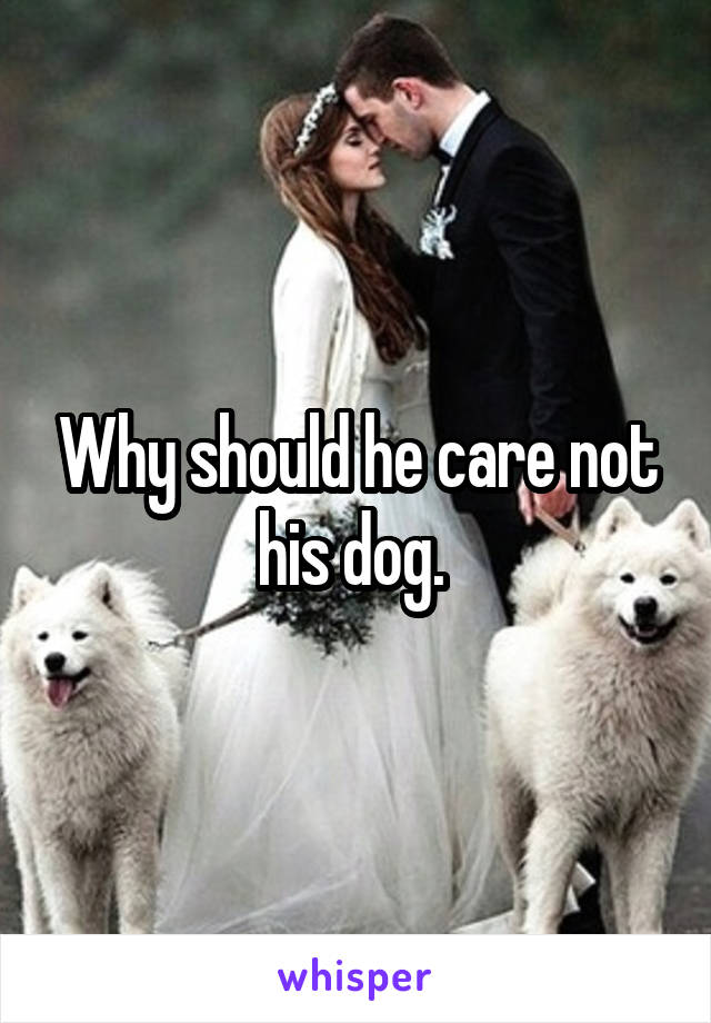 Why should he care not his dog. 