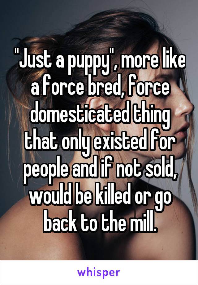 "Just a puppy", more like a force bred, force domesticated thing that only existed for people and if not sold, would be killed or go back to the mill.