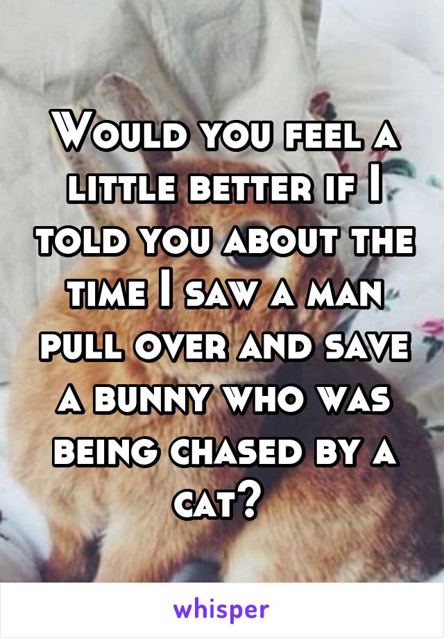 Would you feel a little better if I told you about the time I saw a man pull over and save a bunny who was being chased by a cat? 