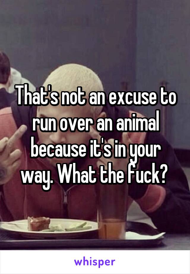 That's not an excuse to run over an animal because it's in your way. What the fuck? 