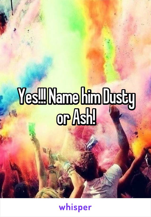 Yes!!! Name him Dusty or Ash!