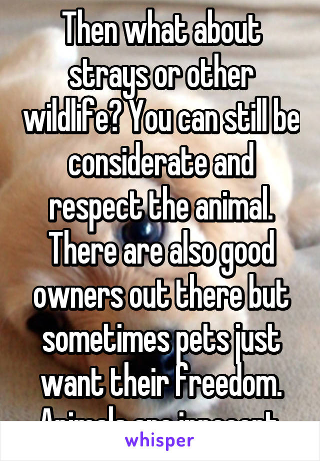 Then what about strays or other wildlife? You can still be considerate and respect the animal. There are also good owners out there but sometimes pets just want their freedom. Animals are innocent.