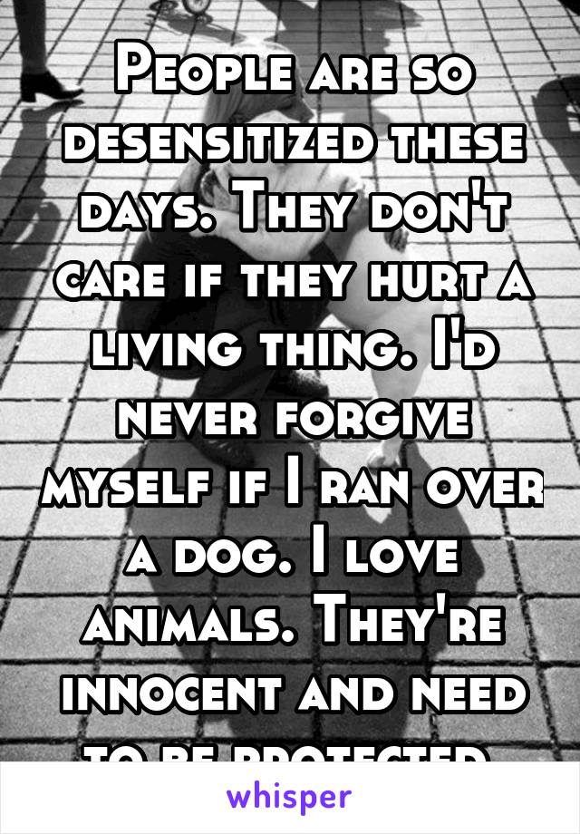 People are so desensitized these days. They don't care if they hurt a living thing. I'd never forgive myself if I ran over a dog. I love animals. They're innocent and need to be protected.