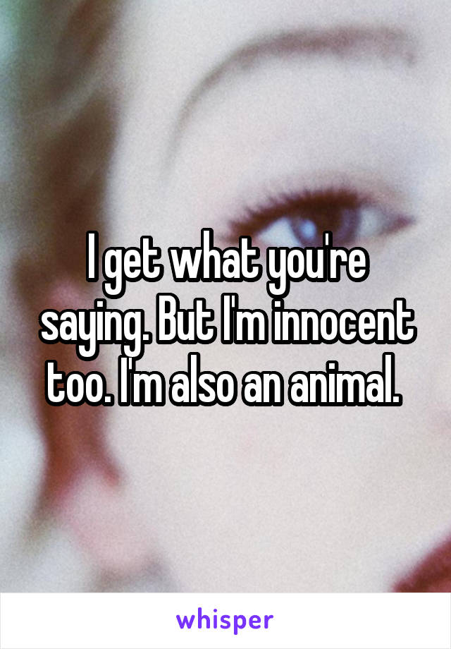 I get what you're saying. But I'm innocent too. I'm also an animal. 