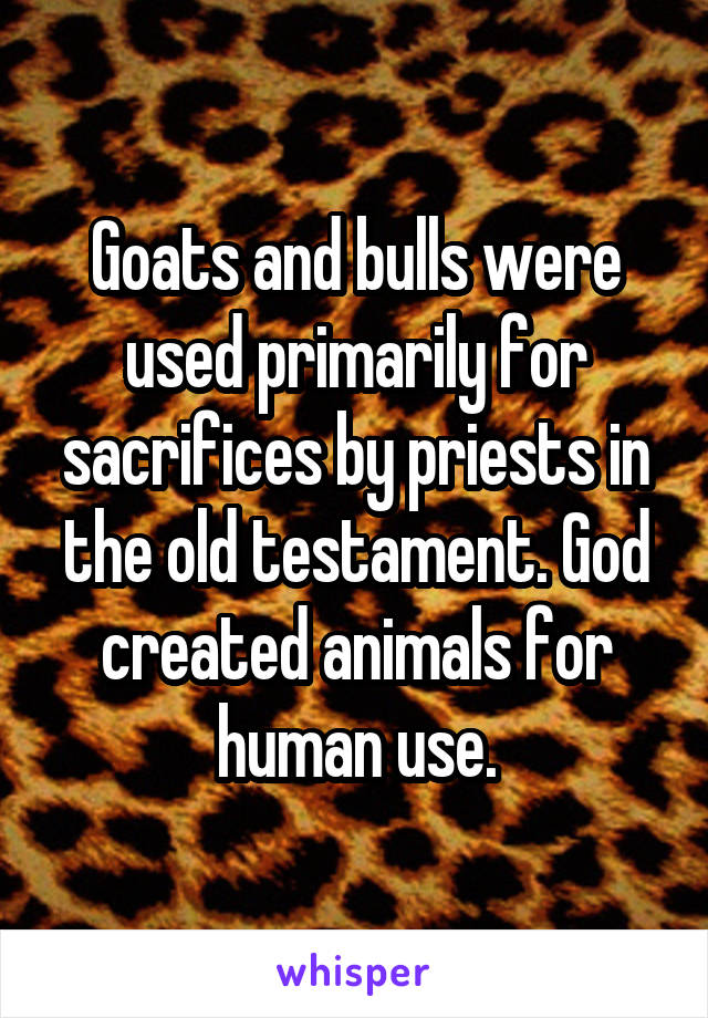 Goats and bulls were used primarily for sacrifices by priests in the old testament. God created animals for human use.