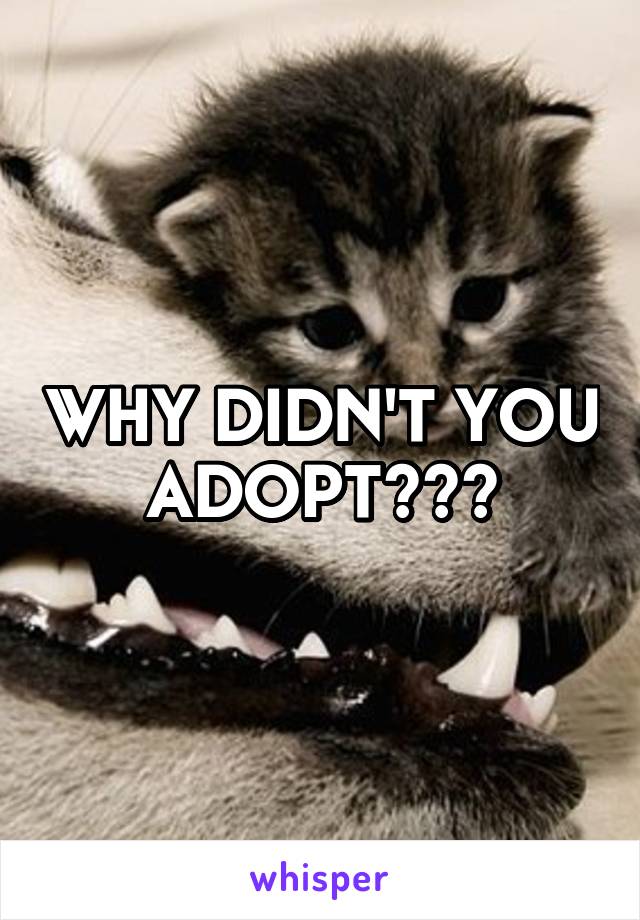 WHY DIDN'T YOU ADOPT???