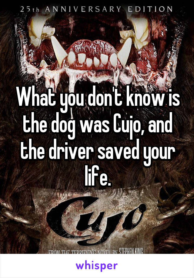 What you don't know is the dog was Cujo, and the driver saved your life.