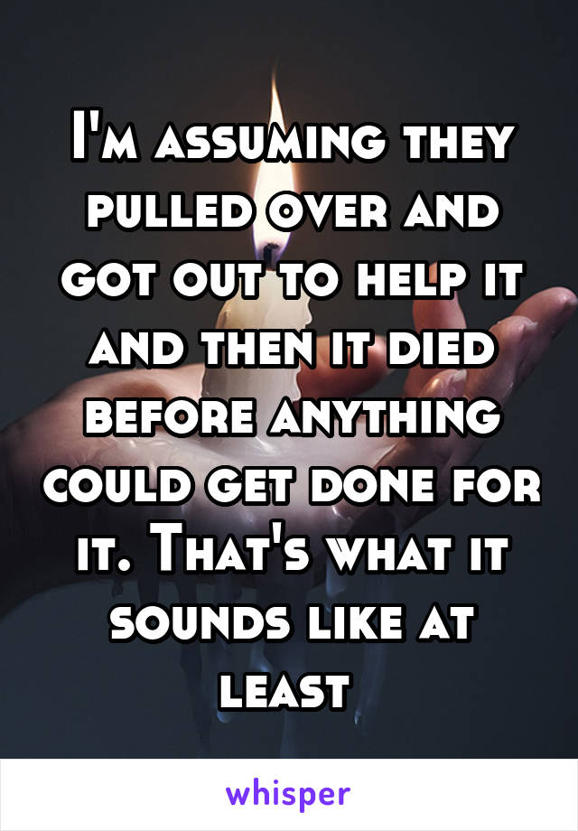 I'm assuming they pulled over and got out to help it and then it died before anything could get done for it. That's what it sounds like at least 