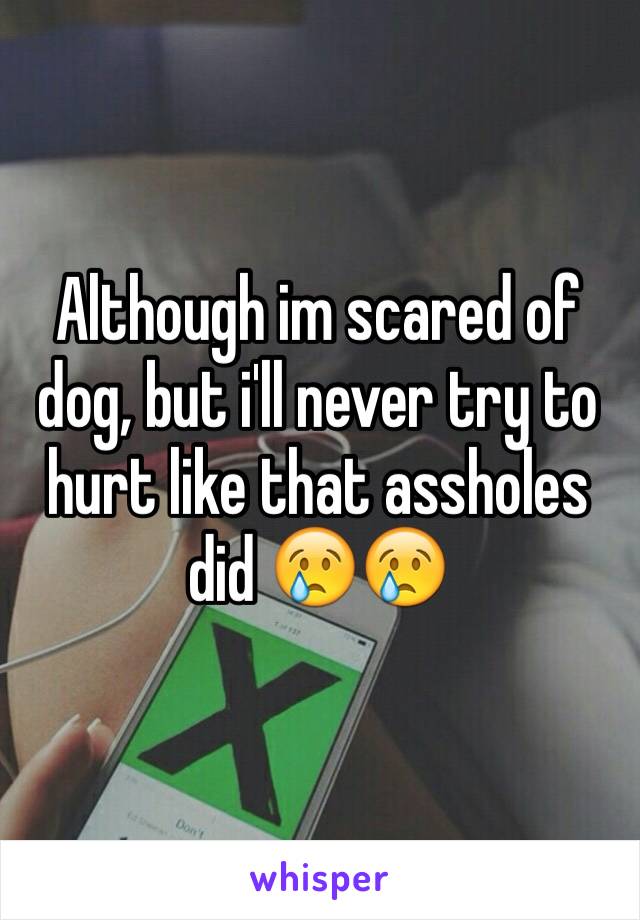 Although im scared of dog, but i'll never try to hurt like that assholes did 😢😢