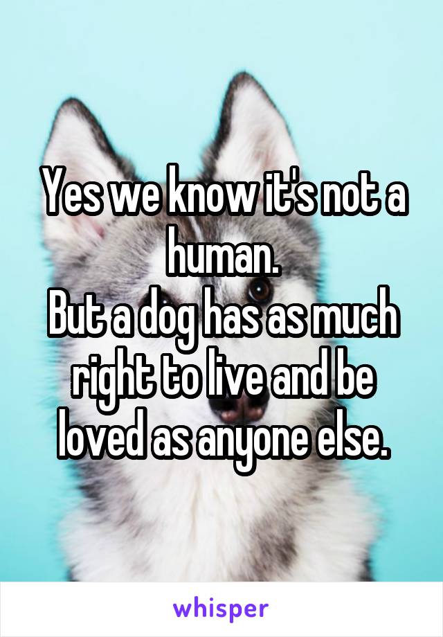 Yes we know it's not a human.
But a dog has as much right to live and be loved as anyone else.