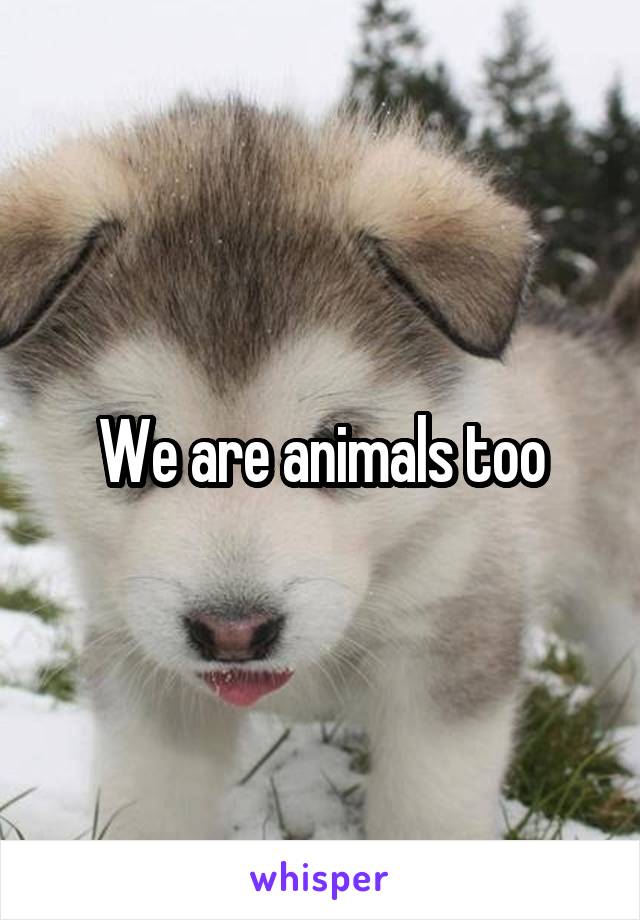 We are animals too