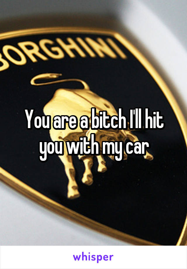 You are a bitch I'll hit you with my car