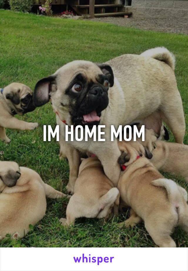 IM HOME MOM