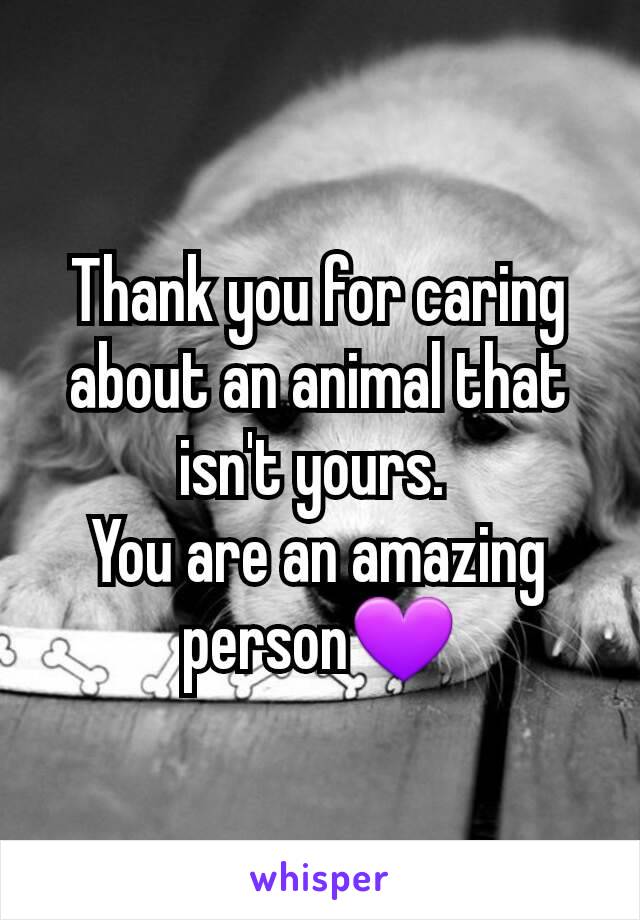 Thank you for caring about an animal that isn't yours. 
You are an amazing person💜