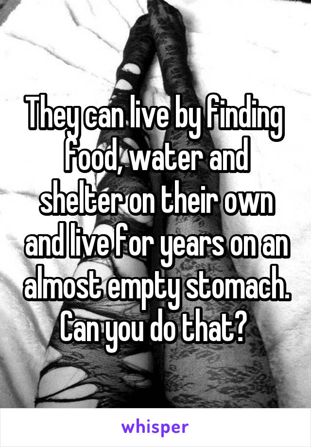 They can live by finding  food, water and shelter on their own and live for years on an almost empty stomach. Can you do that? 