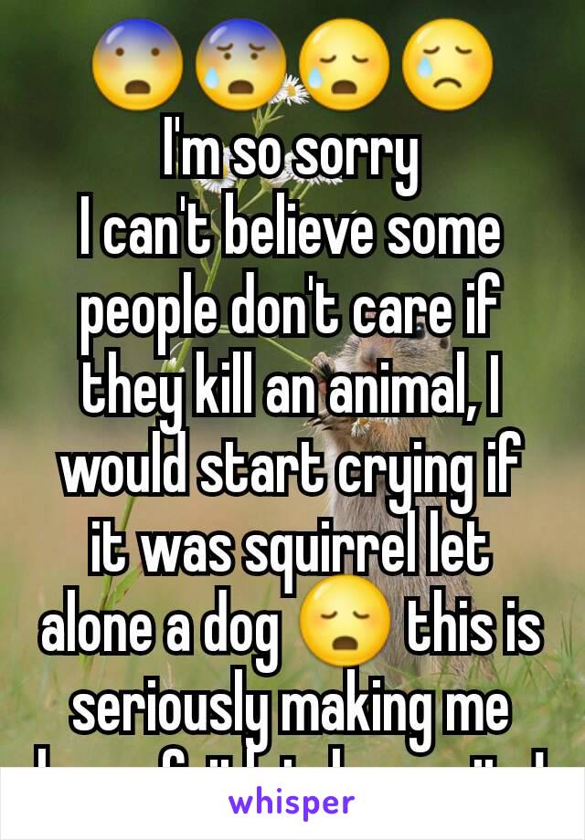 😨😰😥😢
I'm so sorry
I can't believe some people don't care if they kill an animal, I would start crying if it was squirrel let alone a dog 😳 this is seriously making me loose faith in humanity!