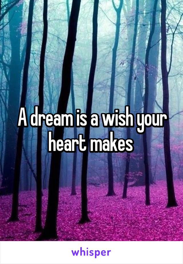 A dream is a wish your heart makes 