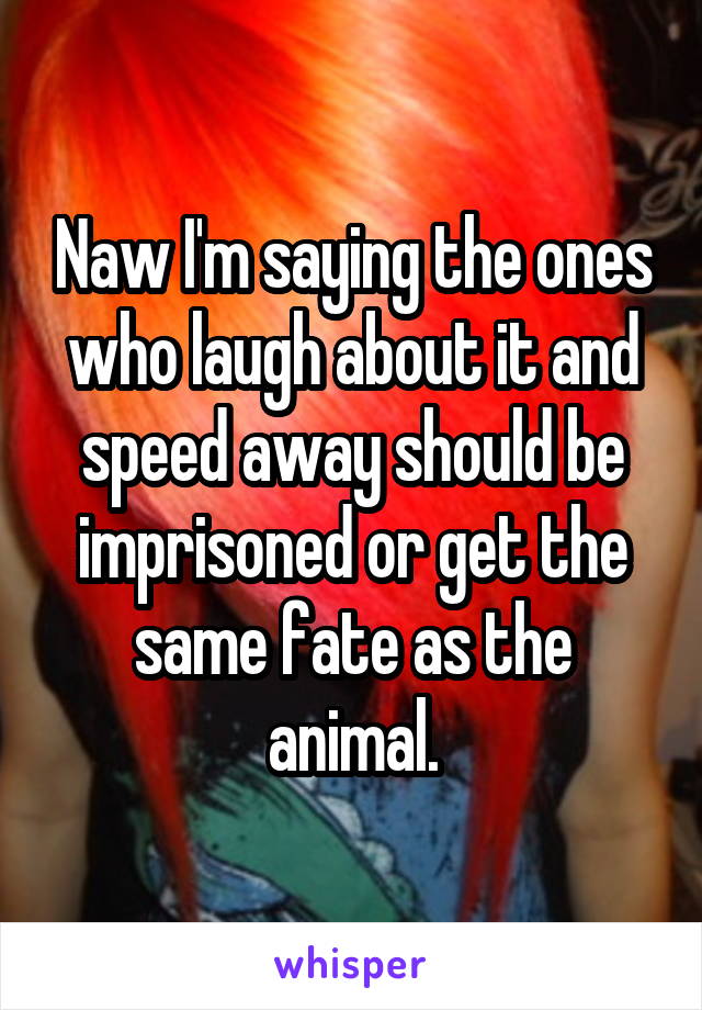 Naw I'm saying the ones who laugh about it and speed away should be imprisoned or get the same fate as the animal.