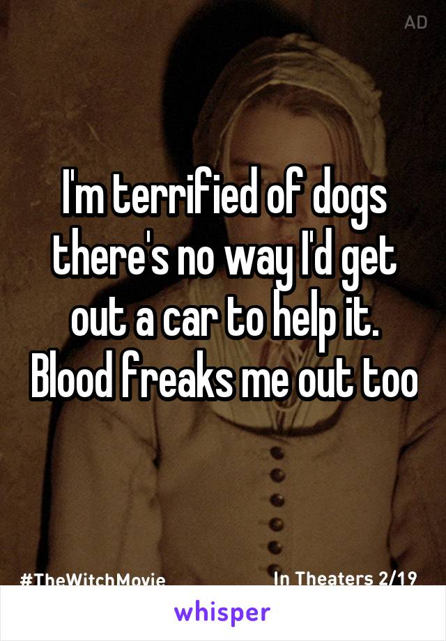 I'm terrified of dogs there's no way I'd get out a car to help it. Blood freaks me out too 