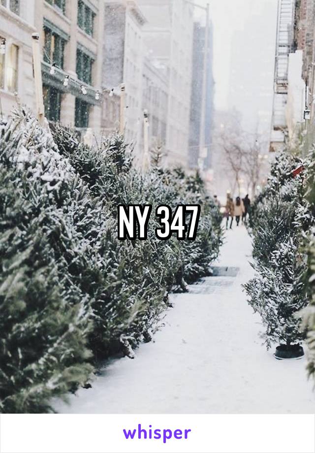 NY 347