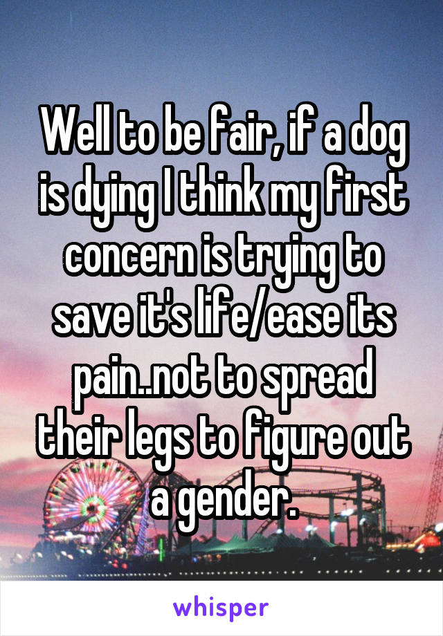 Well to be fair, if a dog is dying I think my first concern is trying to save it's life/ease its pain..not to spread their legs to figure out a gender.