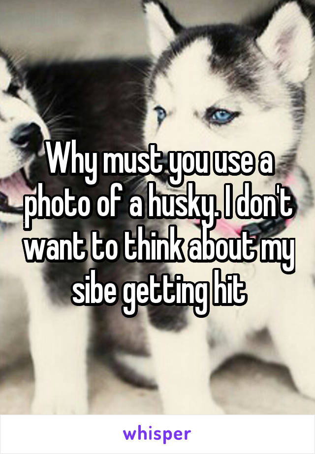 Why must you use a photo of a husky. I don't want to think about my sibe getting hit