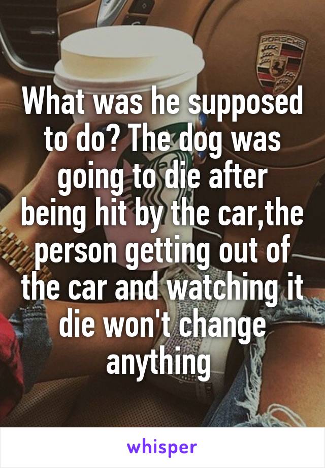 What was he supposed to do? The dog was going to die after being hit by the car,the person getting out of the car and watching it die won't change anything 