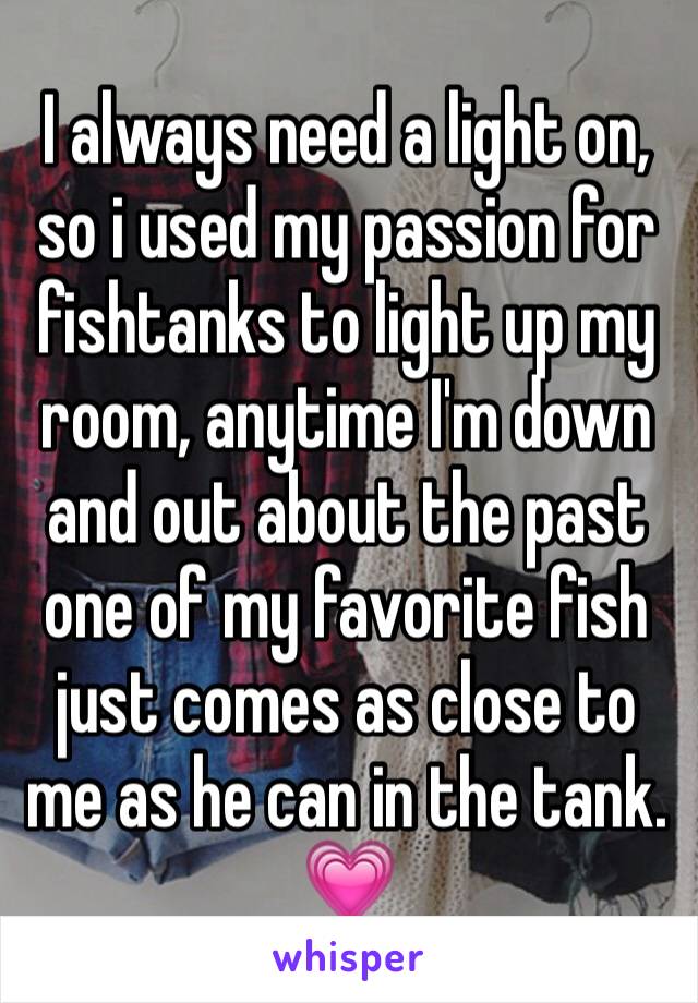 I always need a light on, so i used my passion for fishtanks to light up my room, anytime I'm down and out about the past one of my favorite fish just comes as close to me as he can in the tank. 💗